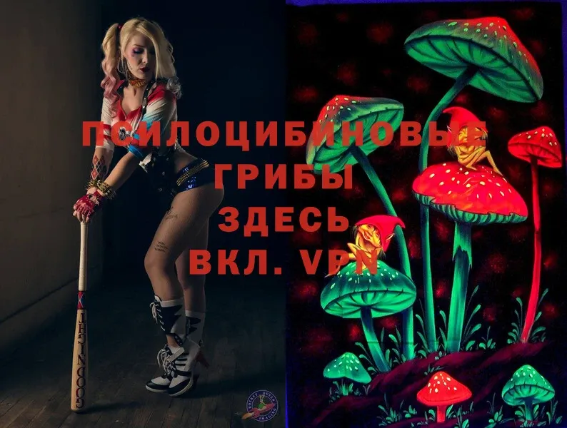 Псилоцибиновые грибы MAGIC MUSHROOMS  Зуевка 