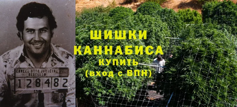 Марихуана White Widow  Зуевка 